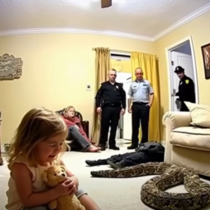 Little Girl Calls 911 About Stepdad’s Pet — What Police Found Inside Was Unimaginable