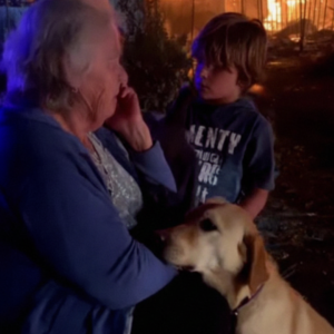 A 68-Year-Old Grandma Lost Everything in a Fire – What Happened After I Shared Her Story Online Was Unreal